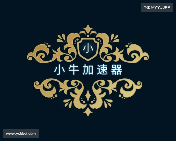 发现小牛加速器